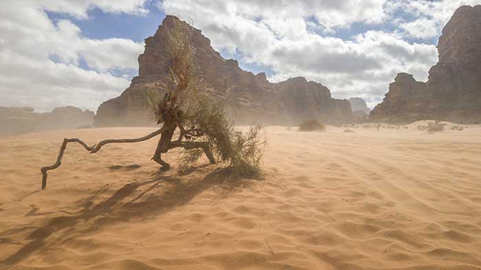 135 - Jordania - desierto de Wadi Rum